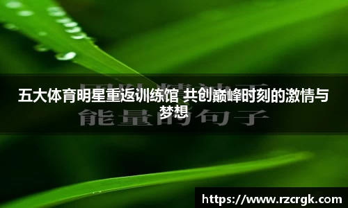 五大体育明星重返训练馆 共创巅峰时刻的激情与梦想