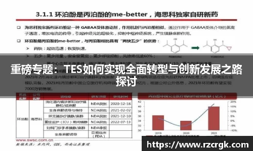 重磅专题：TES如何实现全面转型与创新发展之路探讨